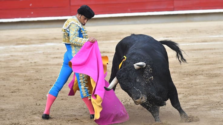 ¿En qué va el debate sobre las corridas de toros en Colombia? Congresistas responden