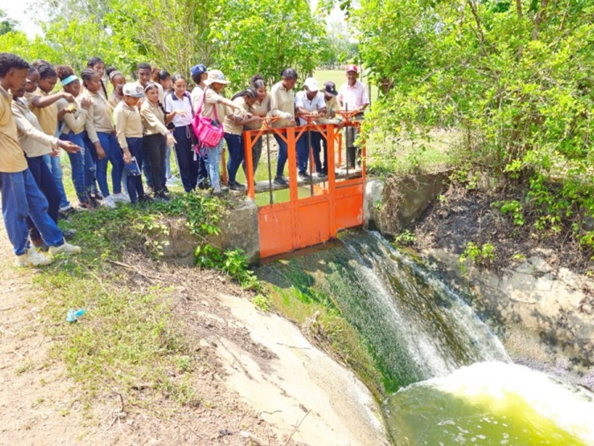 Colegio de María La Baja propone ‘Proyecto Ambiental’ para recuperar sus cuerpos de agua