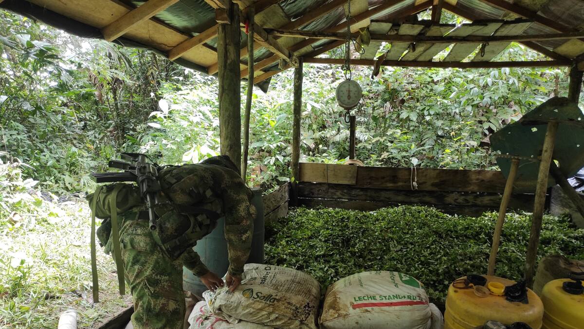Nuevo golpe al Clan del Golfo: Ejército destruye laboratorios para procesar cocaína