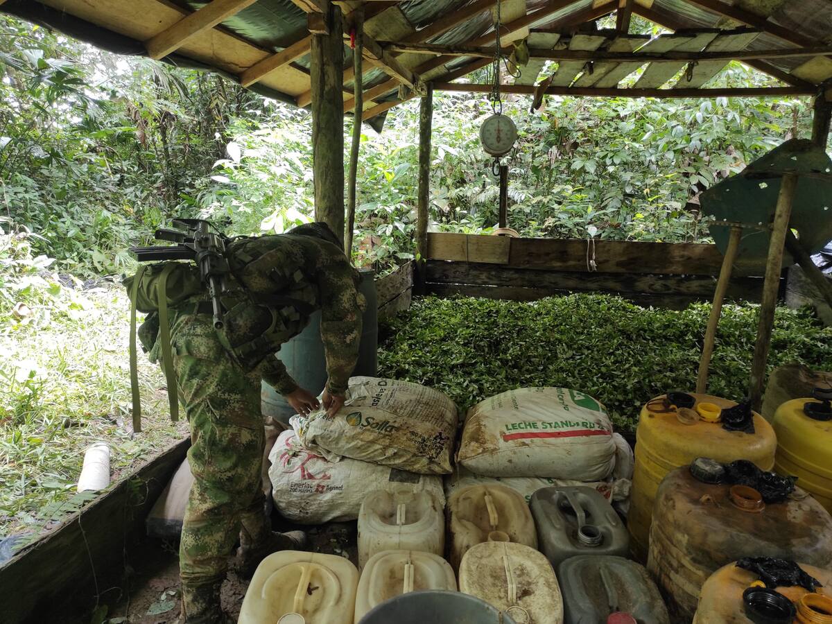 Nuevo golpe al Clan del Golfo: Ejército destruye laboratorios para procesar cocaína