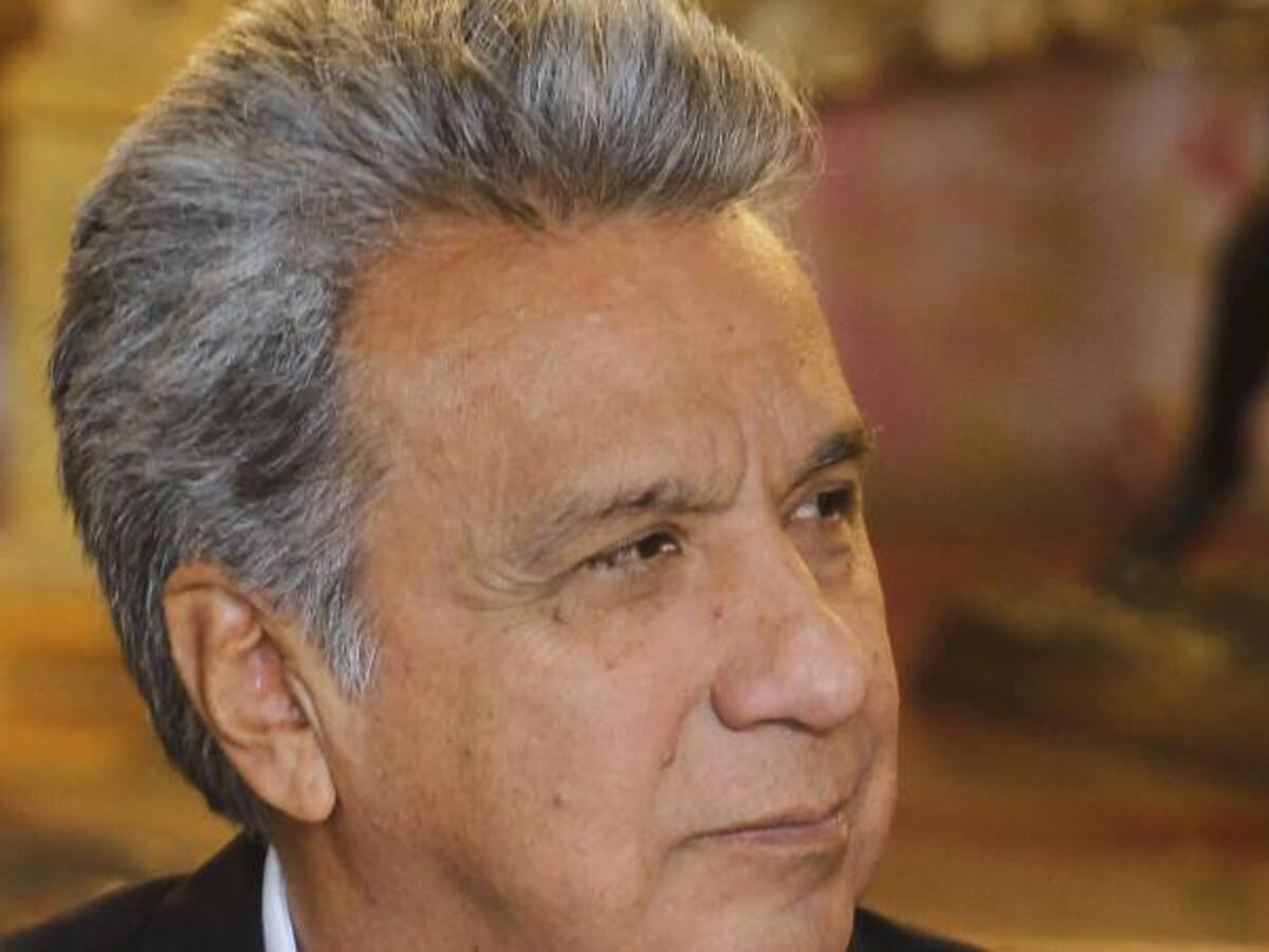 Acogeremos diálogos con Eln hasta que se haga la paz : Lenín Moreno