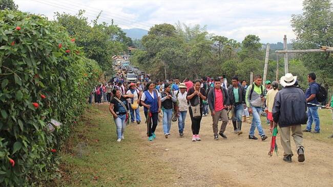 Imagen de referencia. Foto: Colprensa