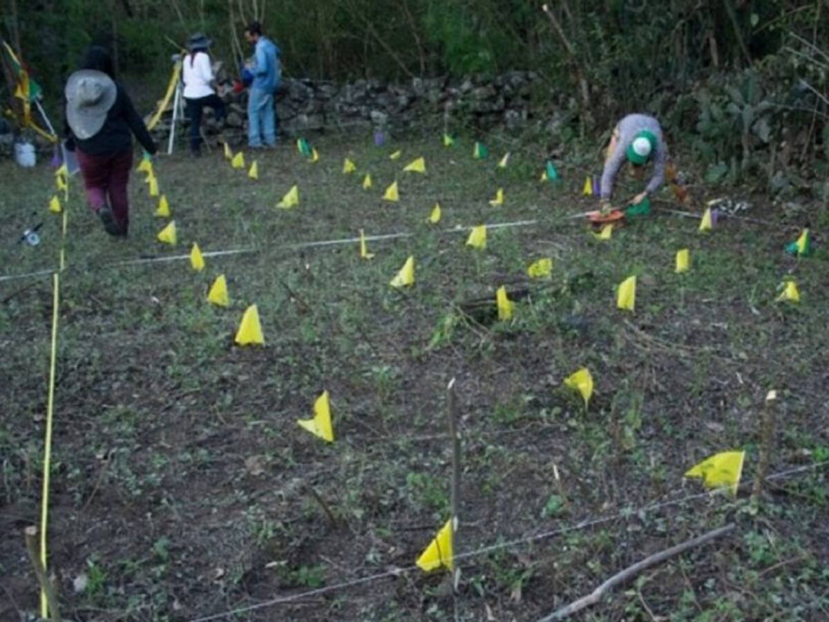 La JEP amplió medidas cautelares al laboratorio de antropología de la UdeA