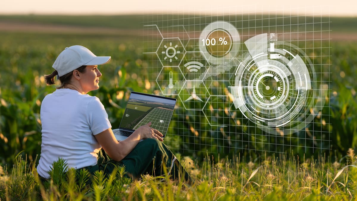 La Transición Energética plantea una nueva economía