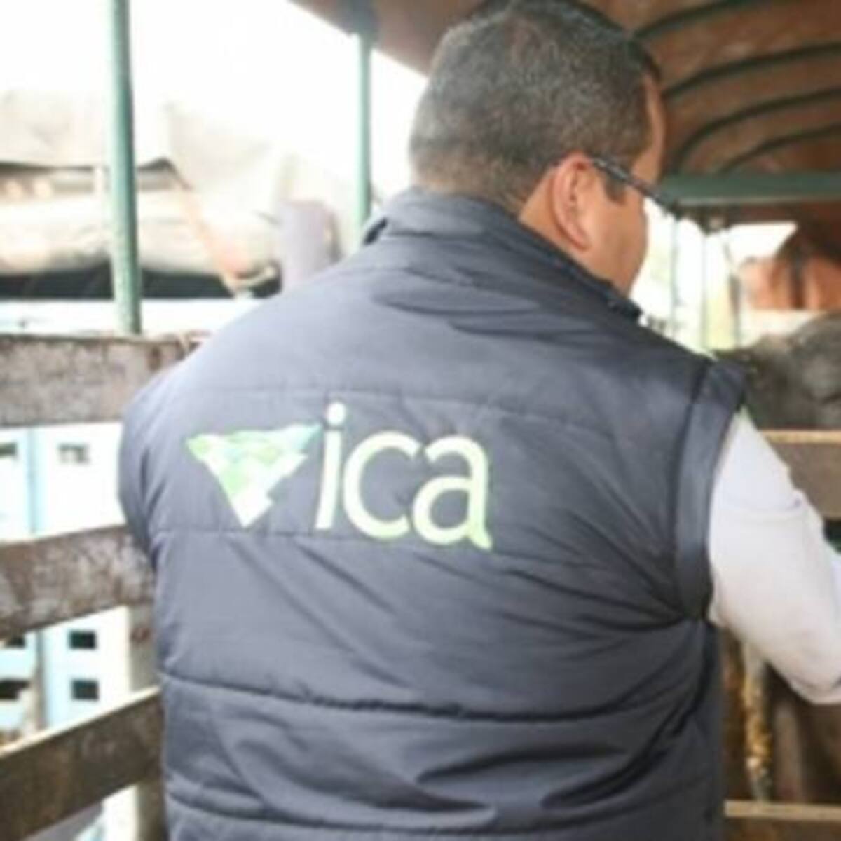 El Ica expide nuevas medidas para el control de la rabia silvestre en el país