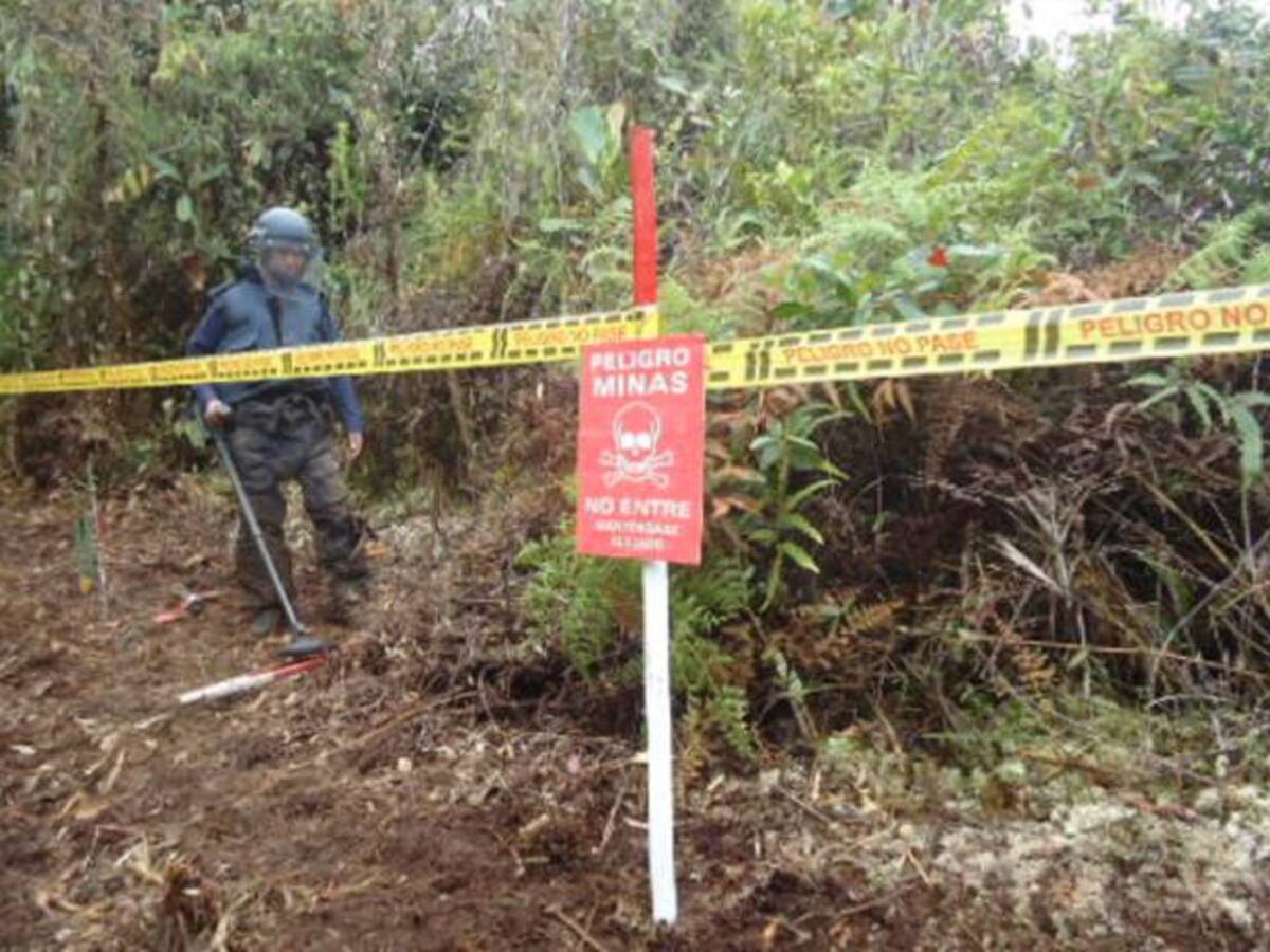 Destruyen 11 minas antipersona en el departamento de Caquetá