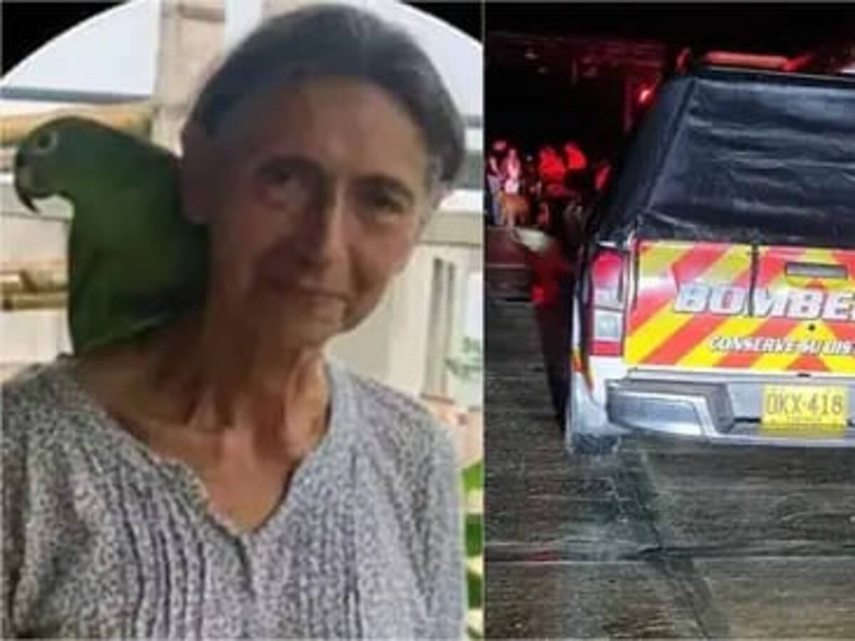 Una adulta mayor murió tras la caída de un árbol en medio de las lluvias en el Quindío