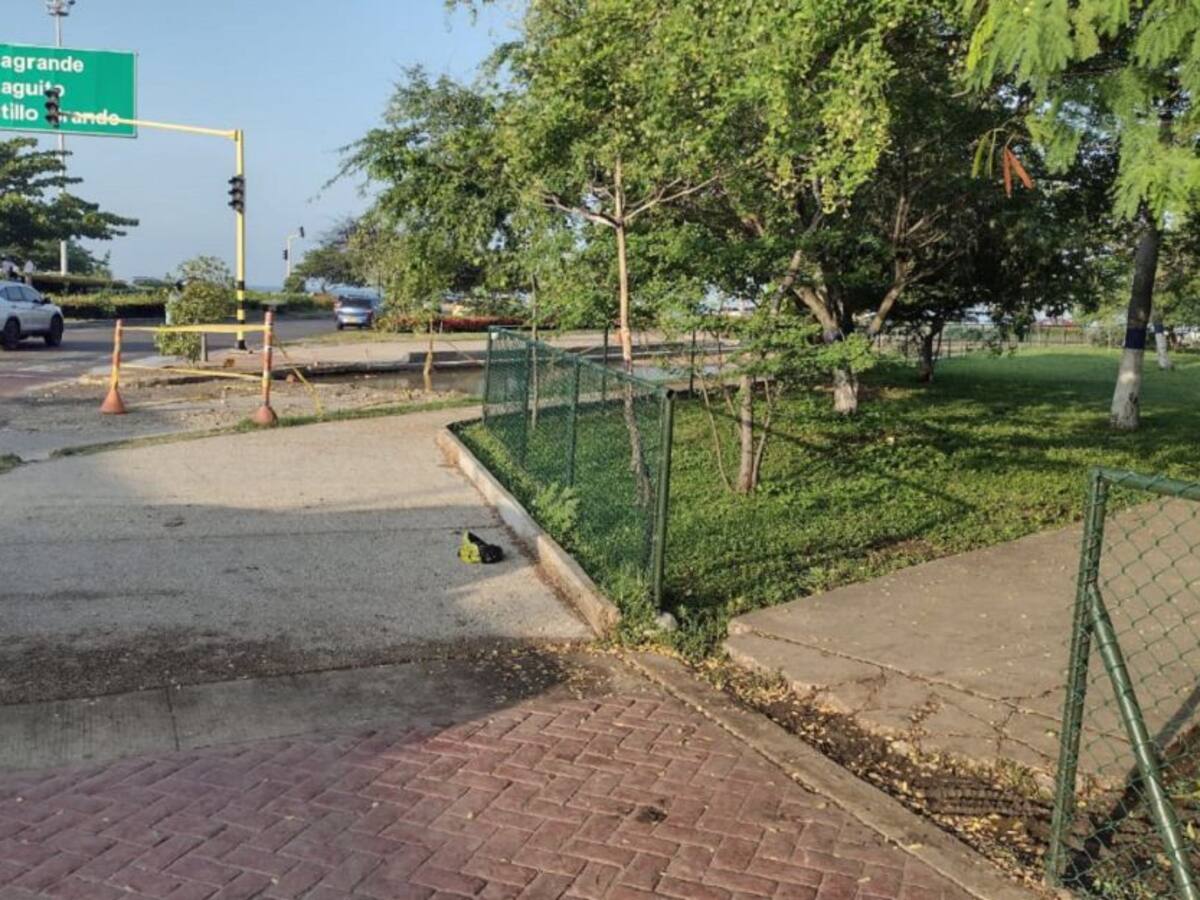 Afinia investiga accidente donde murió un turista en el Parque de la Marina