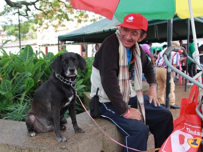Jornadas de esterilización para perros y gatos en los municipios de Antioquia.