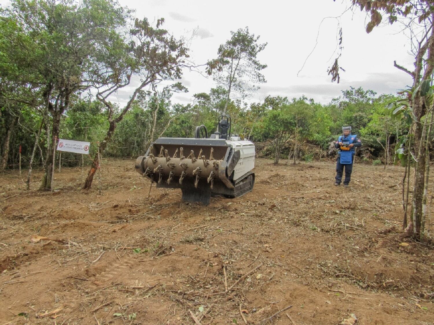 La máquina no tripulada despeja 300 metros cuadrados diarios.