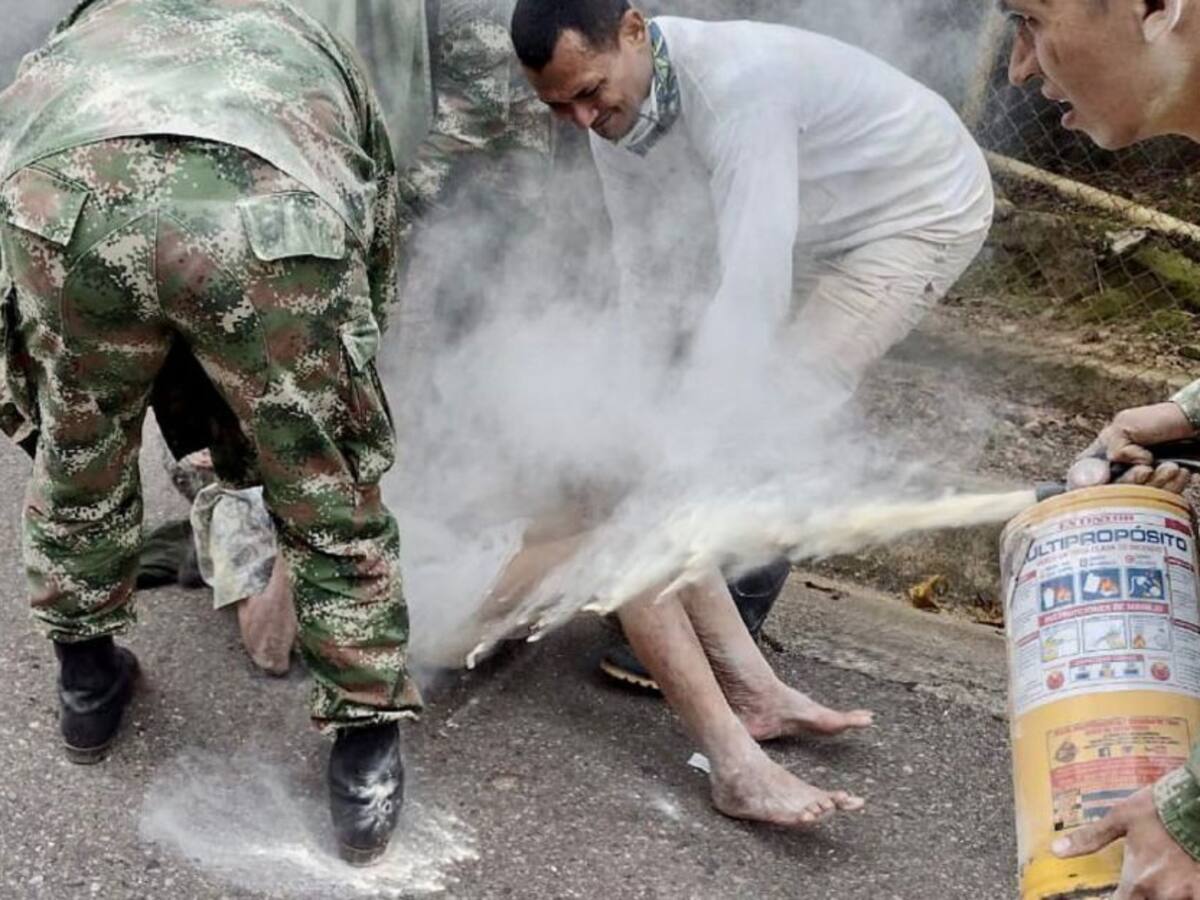 Mujer de 95 años atacada brutalmente por abejas en el Caquetá
