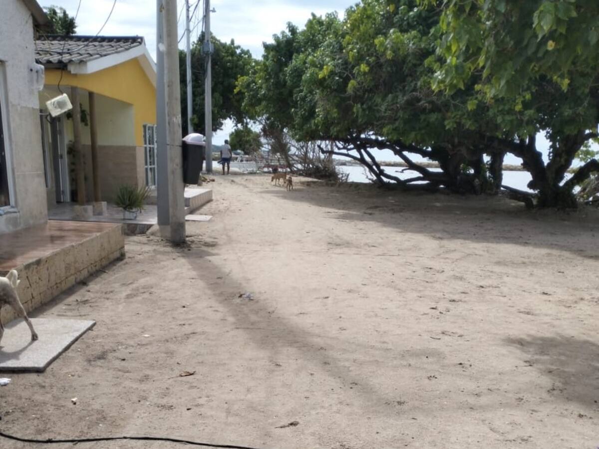 Sector de Punta Arena tiene ocho días sin energía: ¿qué responde Afinia?