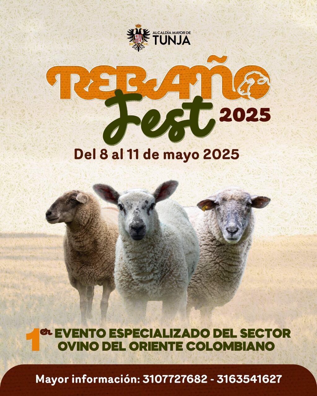 El evento gira en torno a las ovejas de raza romney marsh