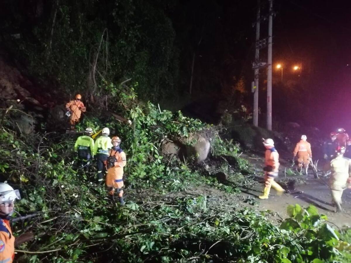Deslizamientos, caídas de árboles y destechamientos dejaron las lluvias en Manizales