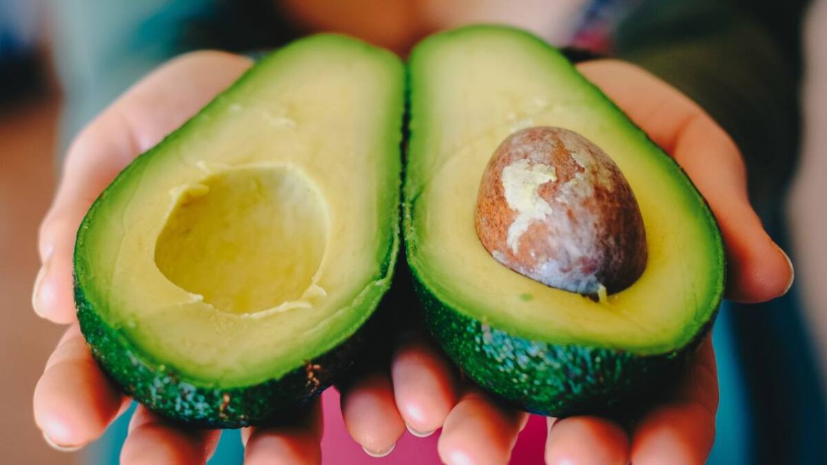 Boyacá le apuesta a esmeraldas que cuelgan de los árboles: aguacate Lorena