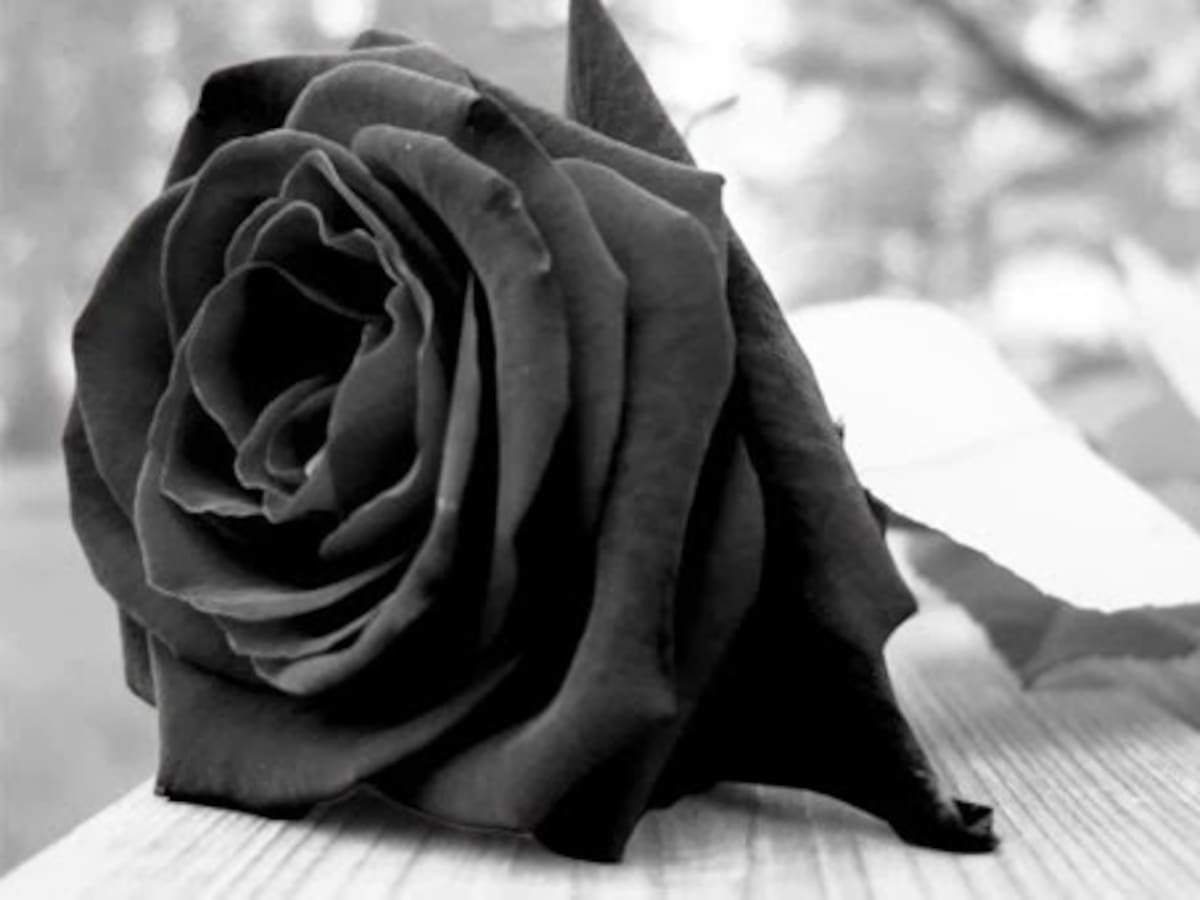 Nueva polémica para la Alcaldía de Tunja por muerte de mujer extranjera