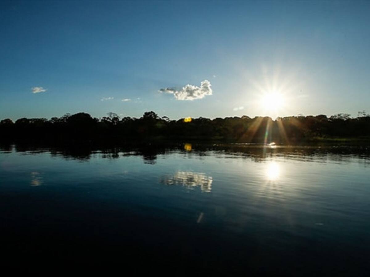 Corte Suprema ordena protección inmediata de la Amazonía Colombiana