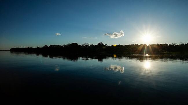 Corte Suprema ordena protección inmediata de la Amazonía Colombiana. Foto: Colprensa