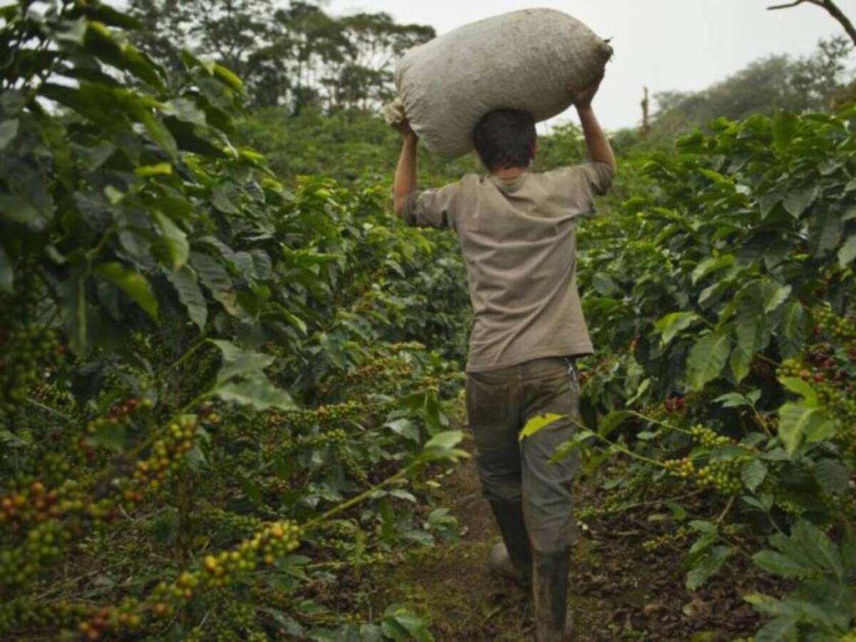 Campesinos de Risaralda denuncian incumplimiento en entregas de ayudas
