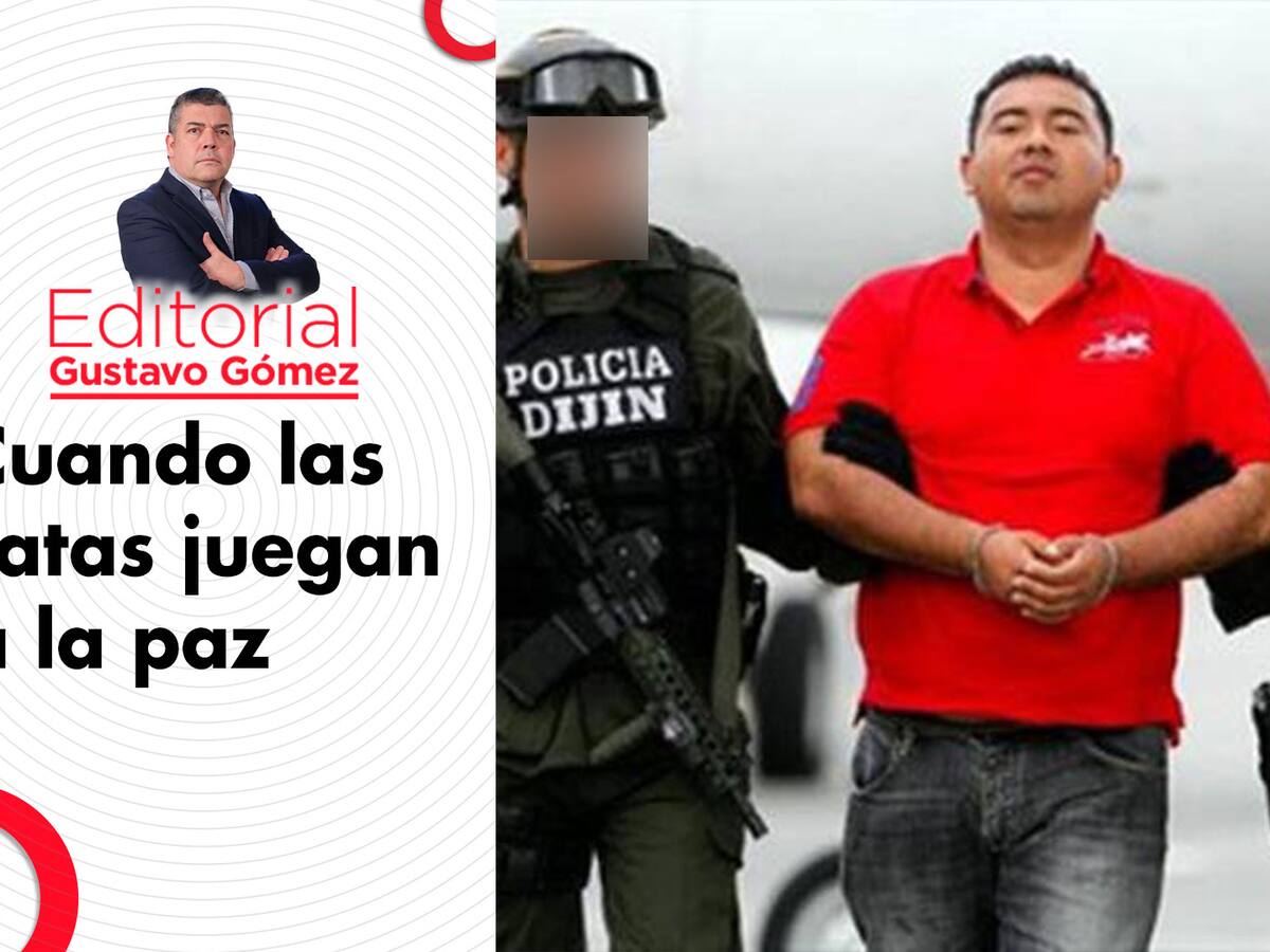 Editorial de Gustavo Gómez: Cuando las ratas juegan a la paz