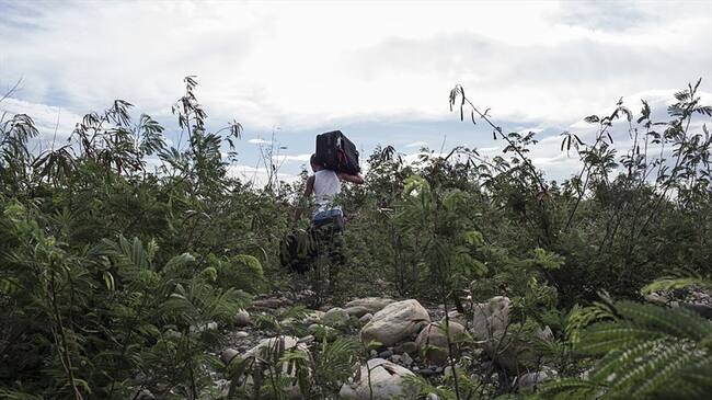 Con miras a brindar atención a la población migrante en Norte de Santander, a partir de este sábado el sector salud está en alerta amarilla para continuar monitoreando la situación.. Foto: Getty Images