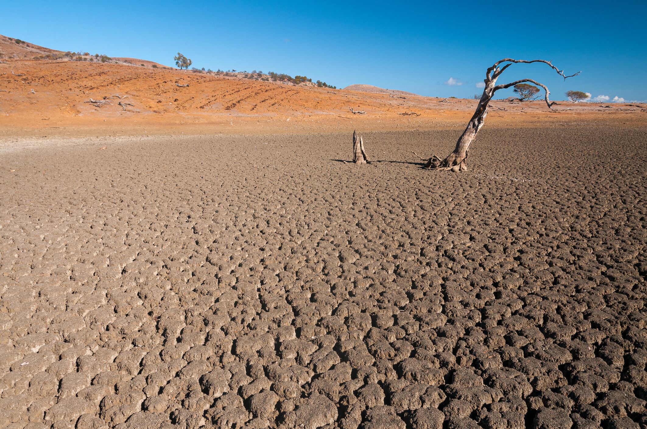 Fenómeno El Niño - Getty Images