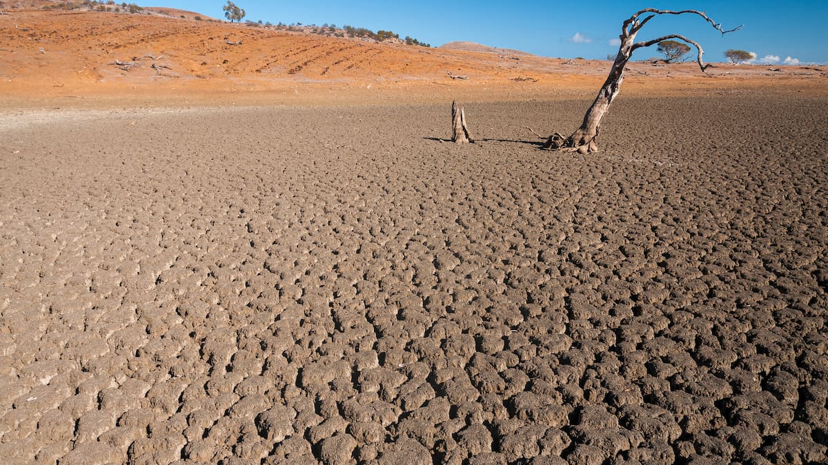La ONU alerta que hay 80 % de probabilidad de un episodio de El Niño entre junio y agosto