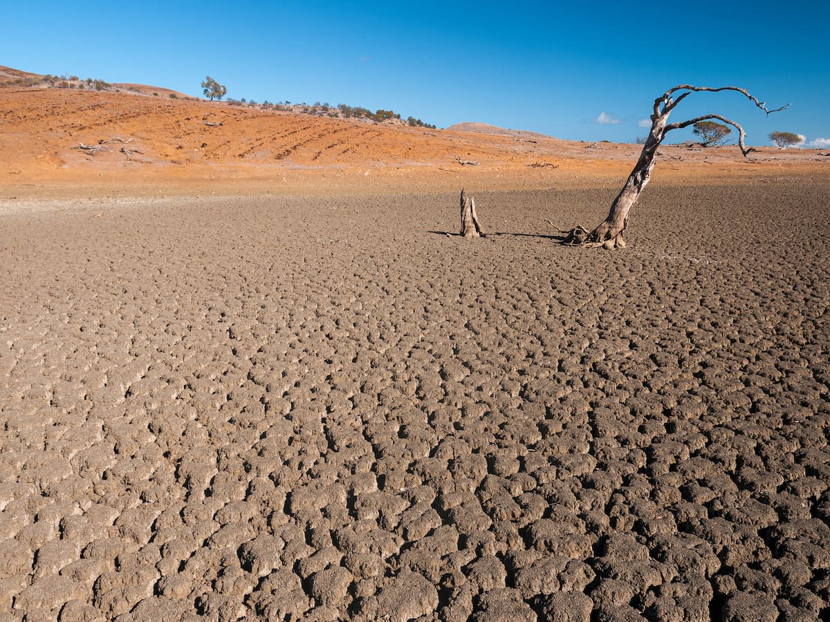 La ONU alerta que hay 80 % de probabilidad de un episodio de El Niño entre junio y agosto