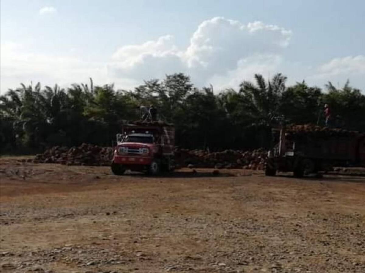 Transportadores de palma de aceite levantan cese de actividades