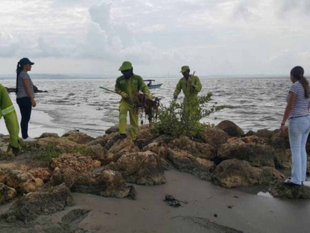 Programa “Mi Playa Limpia” llegó a Castillogrande en Cartagena