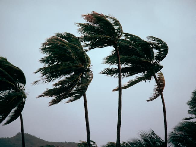Imagen de referencia ciclón, Getty Images