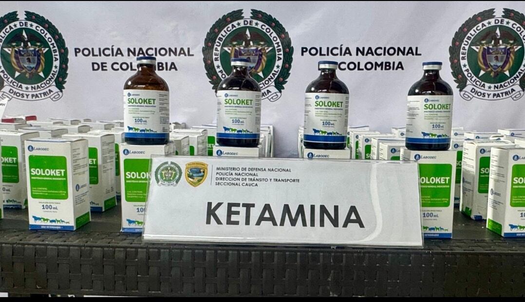 Material incautado en el sur del Cauca. Crédito: Policía Nacional.