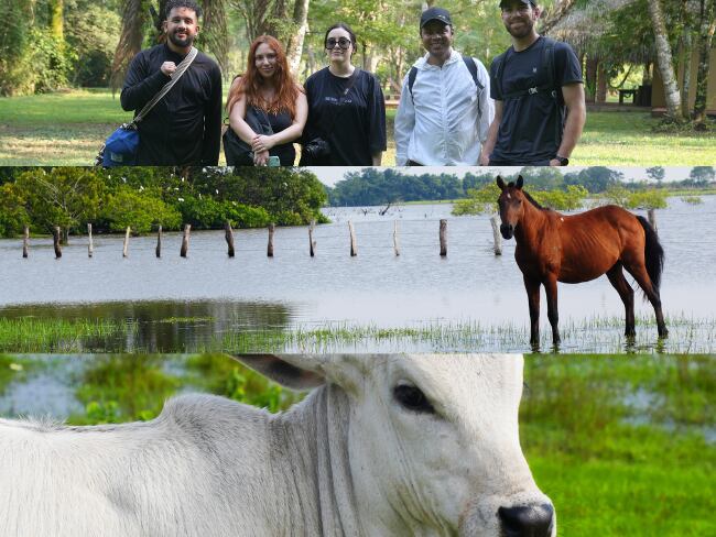 Periodistas de los medios Kienyke, economía y turismo, representantes de Kasa Agencia y Procolombia en la reserva natural de Savanna Lodge