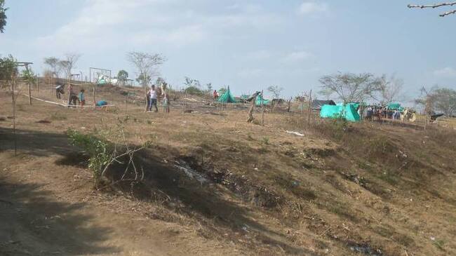 No hay capturados tras las denuncias de bandas dedicadas a comercializar lotes públicos.