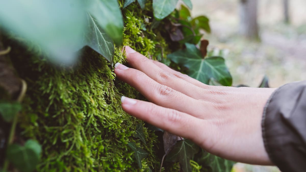 Diez maneras para cambiar el mundo