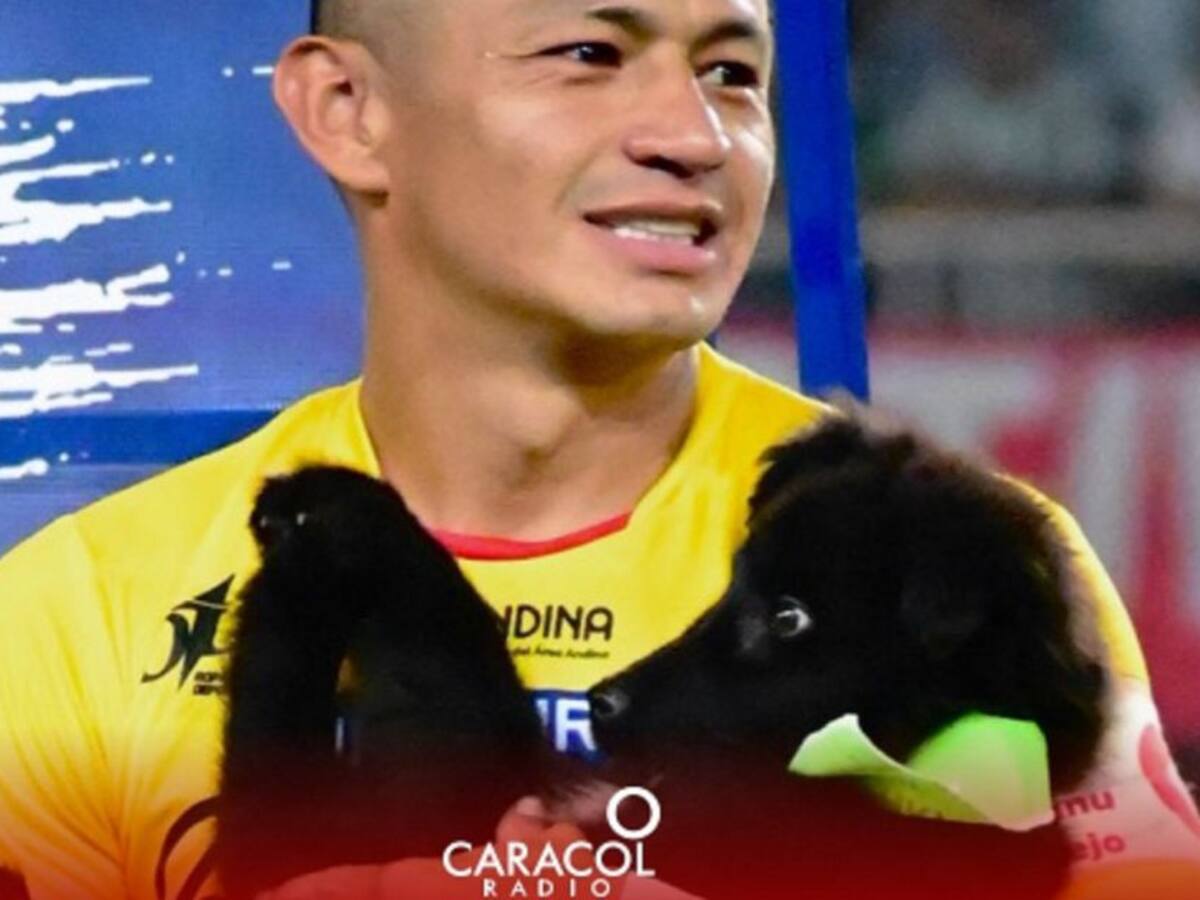 Escuche el programa Mascotas Caracol 09 de octubre