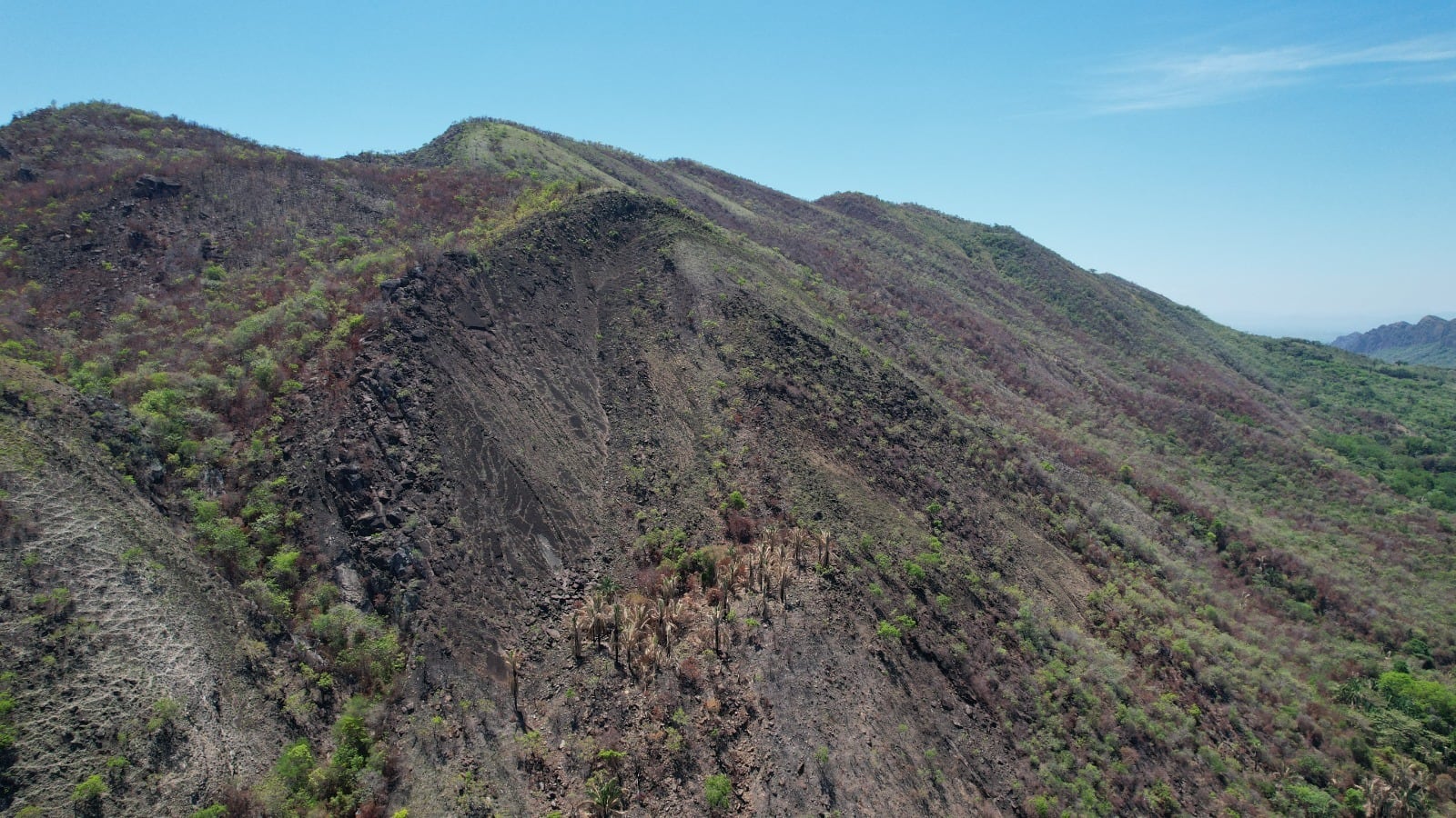 El Huila es uno de los tres departamentos del país con un clúster consolidado. Foto CAM
