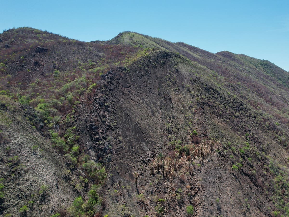 Financiarán en el Huila proyectos ambientales con enfoque en soluciones naturales
