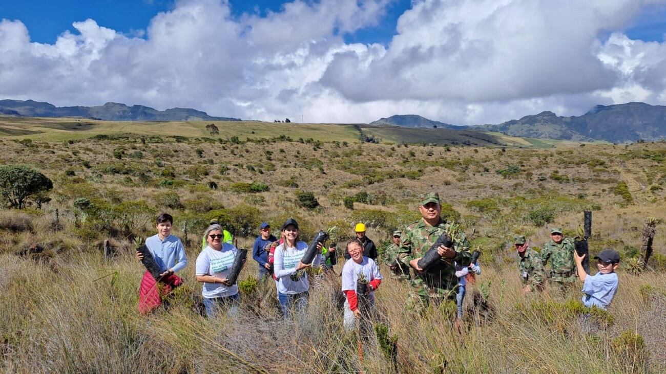2.000 frailejones fueron sembrados en el municipio de Murillo en el norte del Tolima.