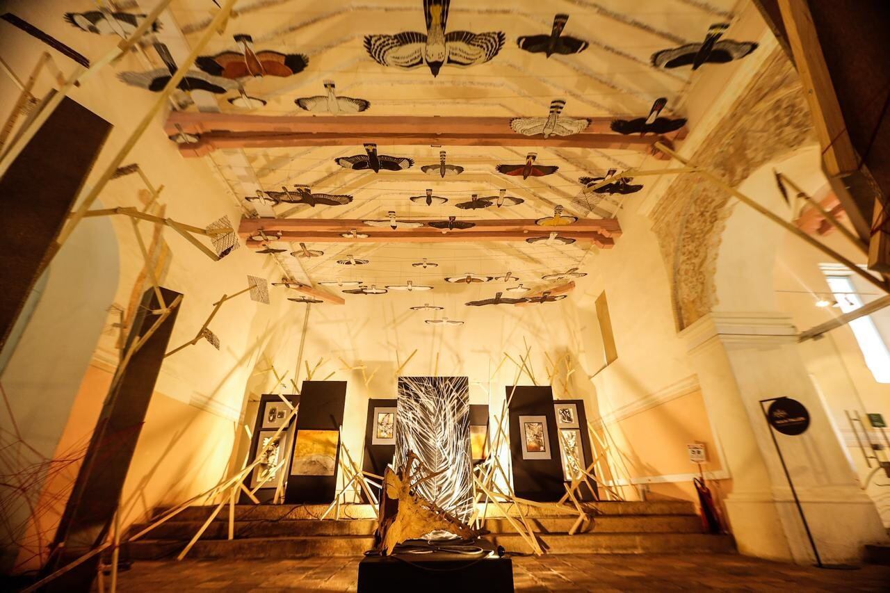 Un proyecto pionero que busca acercar a los ciudadanos al conocimiento, la conservación y la valoración del patrimonio natural del país.