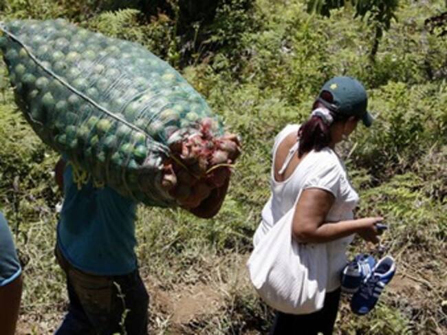 Foto: Colprensa.