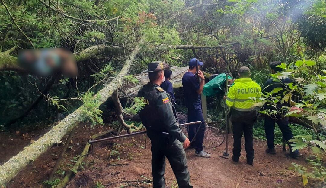 ¿Qué pasó con los 7 perros que fueron hallados en estado de descomposición?