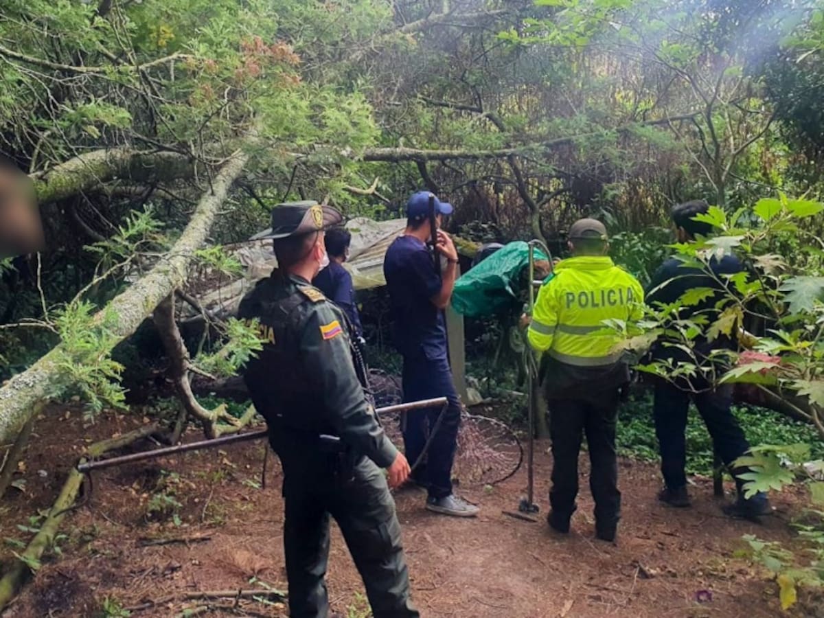 ¿Qué pasó con los 7 perros que fueron hallados en estado de descomposición?