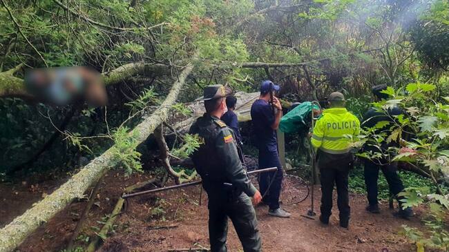 ¿Qué pasó con los 7 perros que fueron hallados en estado de descomposición?