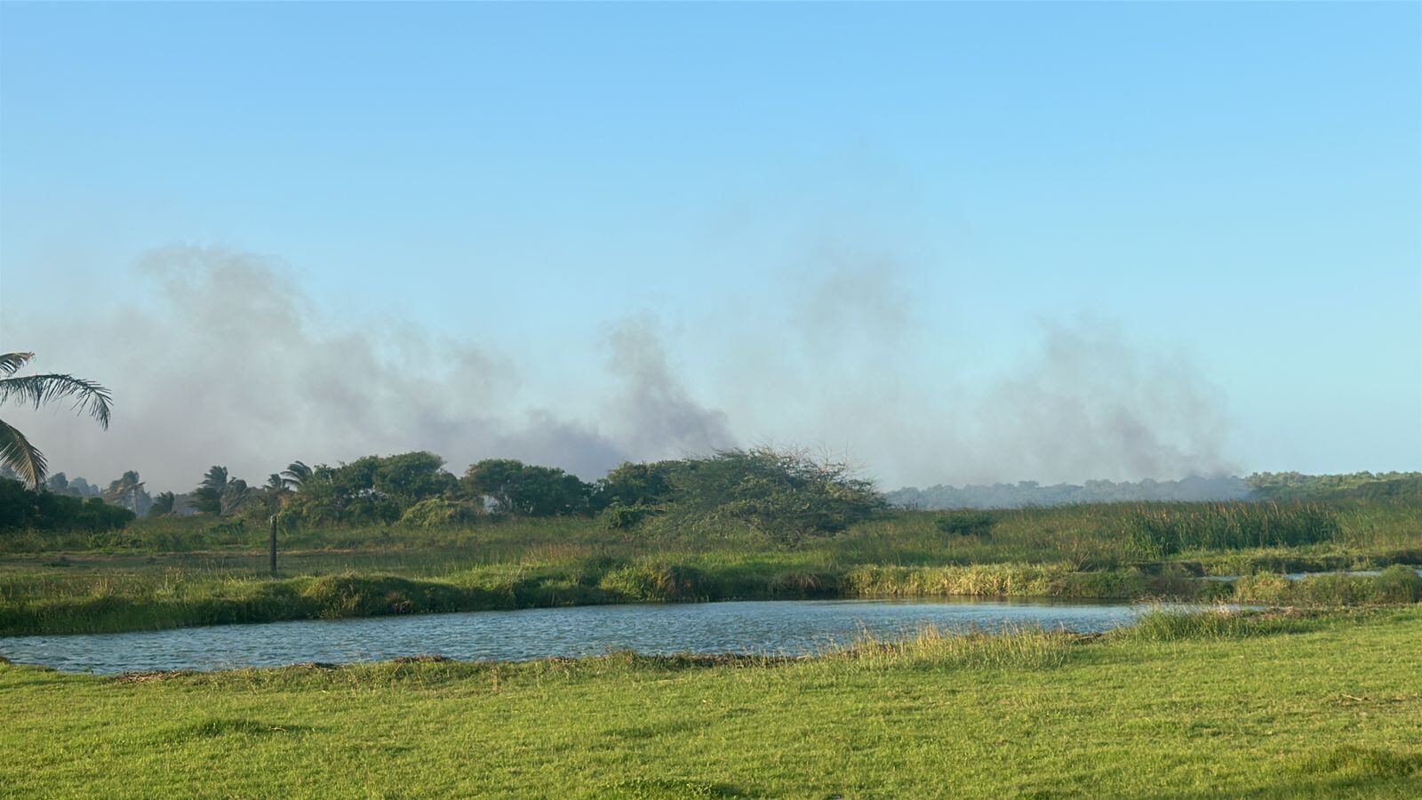 Incendio en parque isla Salamanca