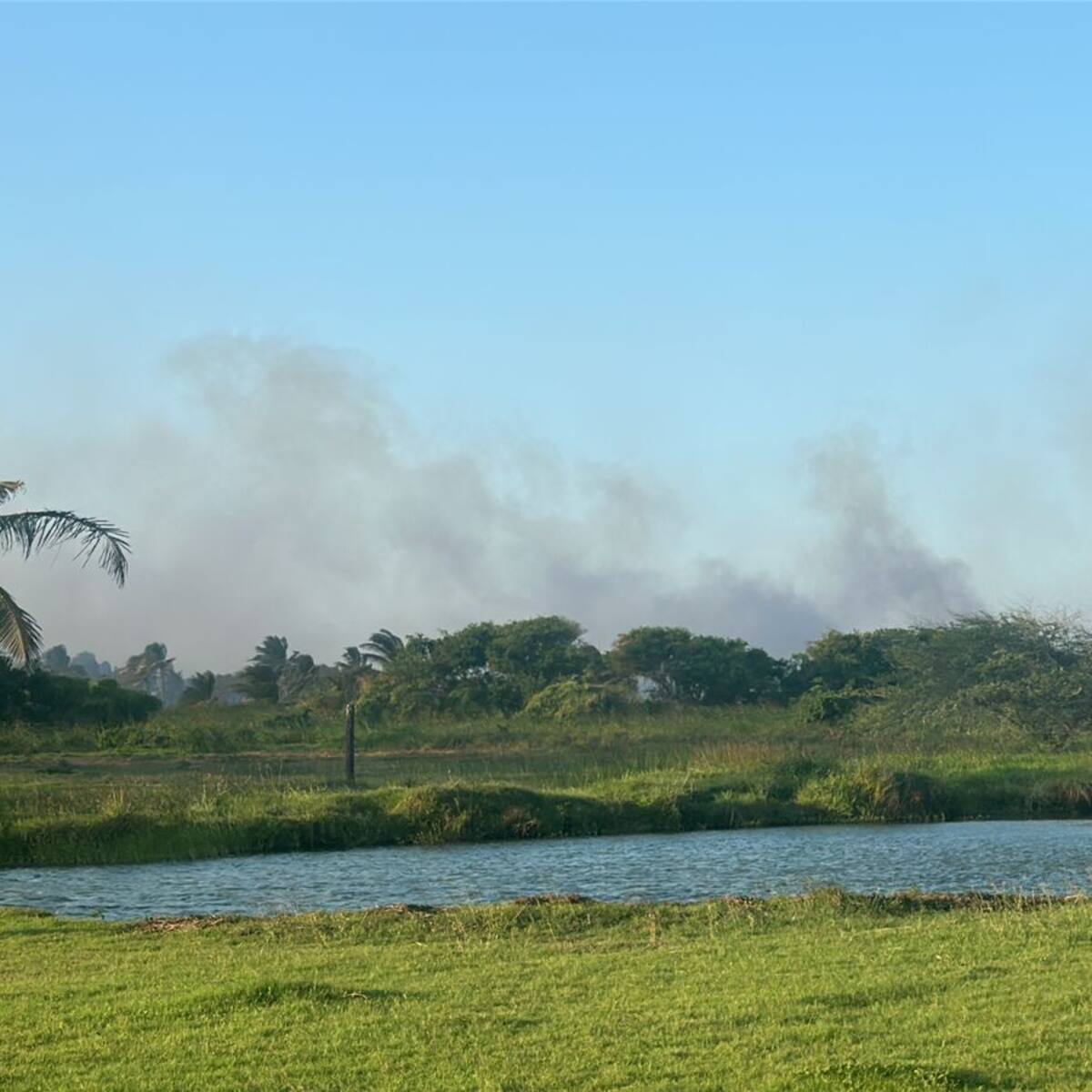 Incendio forestal afecta el Parque Isla Salamanca
