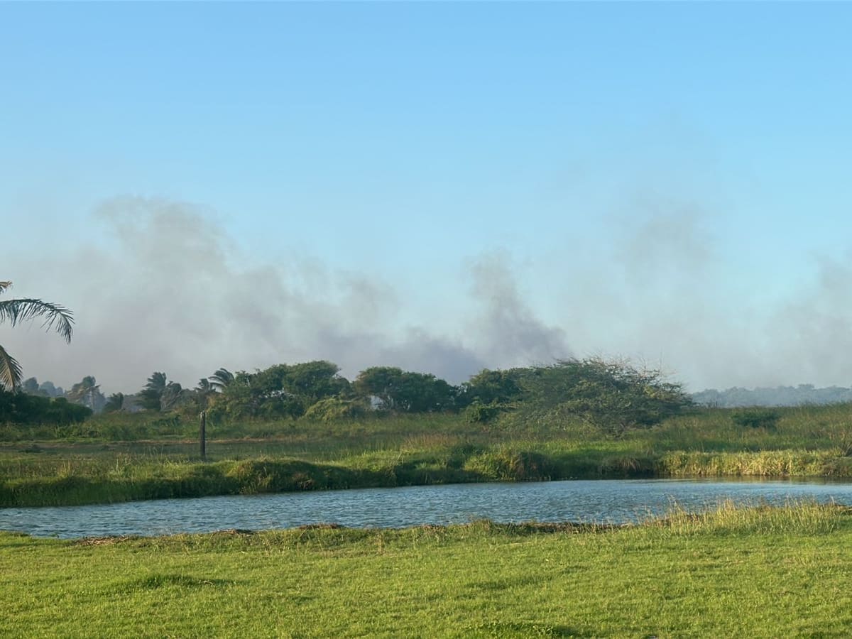 Incendio forestal afecta el Parque Isla Salamanca