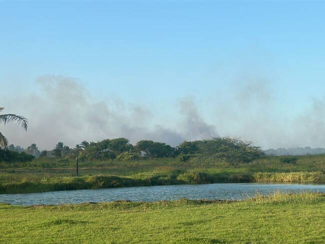 Incendio en parque isla Salamanca