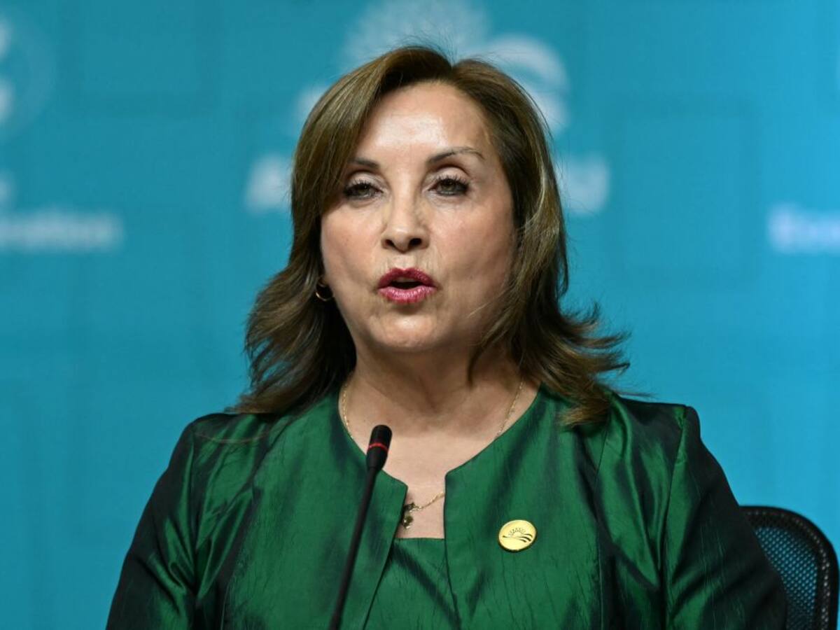Perú: gobierno de Dina Boluarte está en riesgo por una rinoplastia