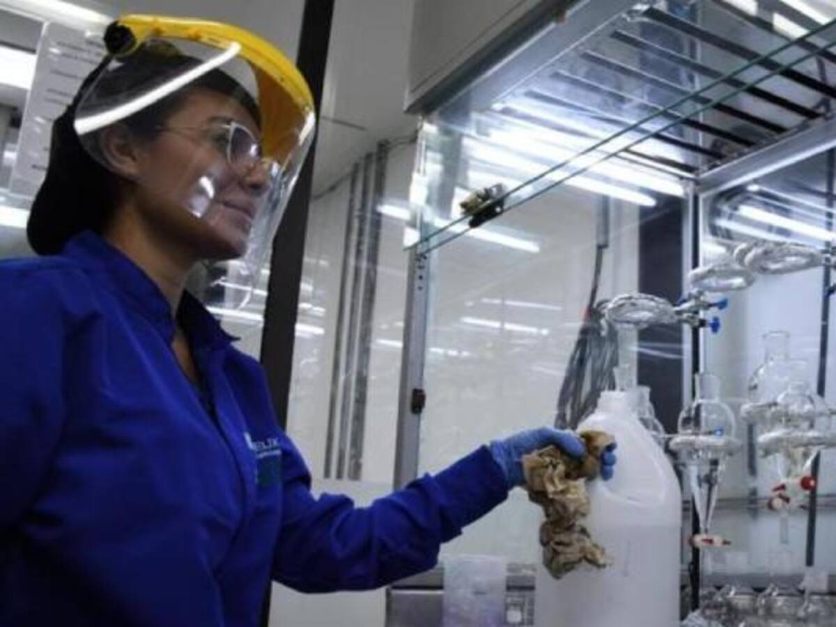 Las empresas activas en Colombia son cerca de 1.56 millones